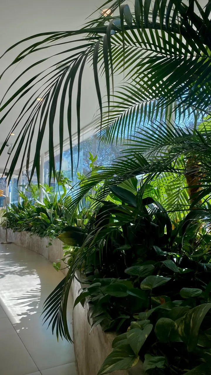 Cantero interior curvo de hormigón junto a un ventanal, con palmeras, potus y otras plantas tropicales