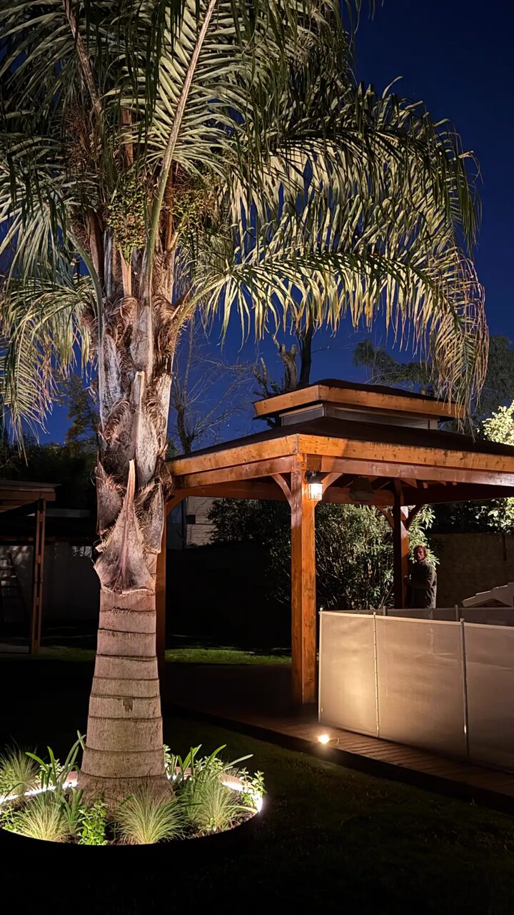 Palmera iluminada desde abajo de noche, con un aro de luz en su cantero de gramíneas, junto a una glorieta de madera con un farol prendido